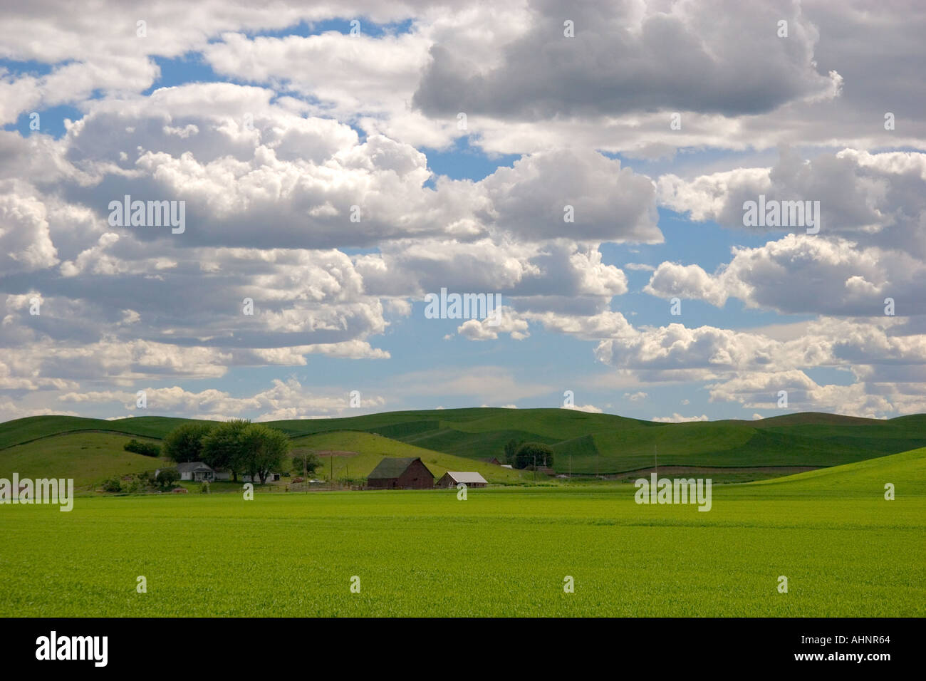 Blé de l'est Washington ferme avec collines et nuages Banque D'Images