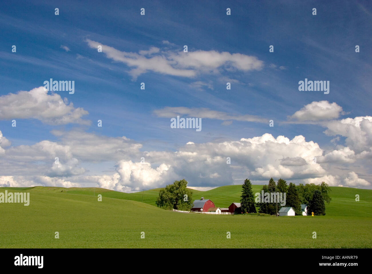 Blé de l'est Washington ferme avec collines et nuages Banque D'Images