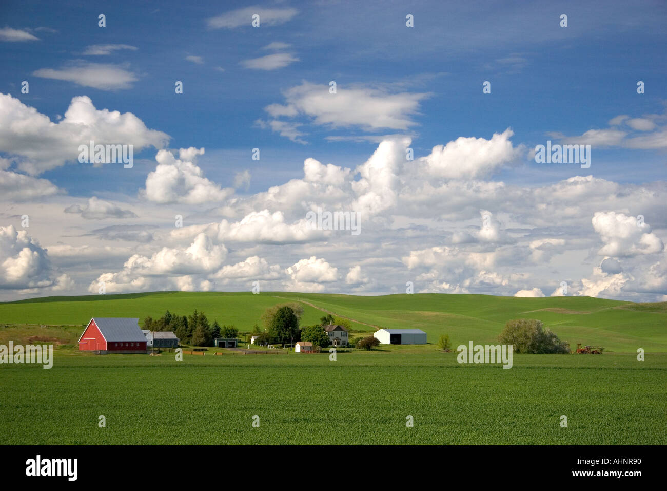 Blé de l'est Washington ferme avec collines et nuages Banque D'Images