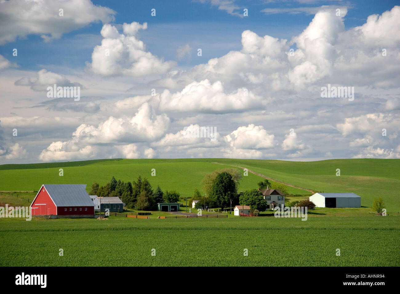 Blé de l'est Washington ferme avec collines et nuages Banque D'Images