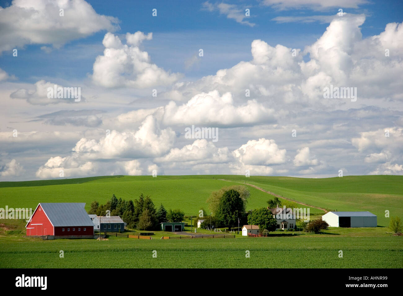 Blé de l'est Washington ferme avec collines et nuages Banque D'Images