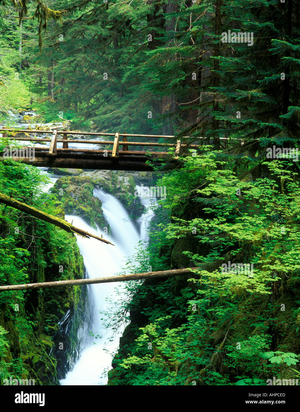 Sol Duc Falls Parc National Olympique Washington Banque D'Images