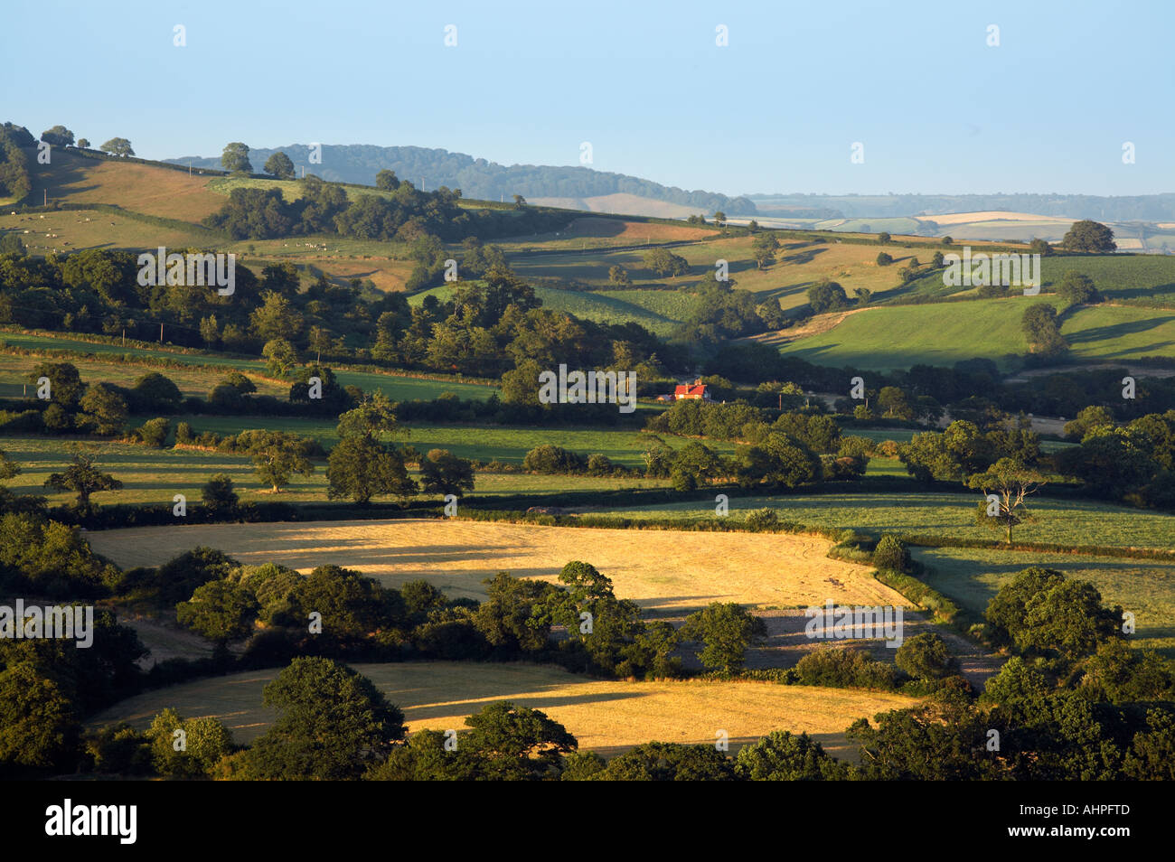 Le Dorset, Angleterre Marshwood Vale Banque D'Images