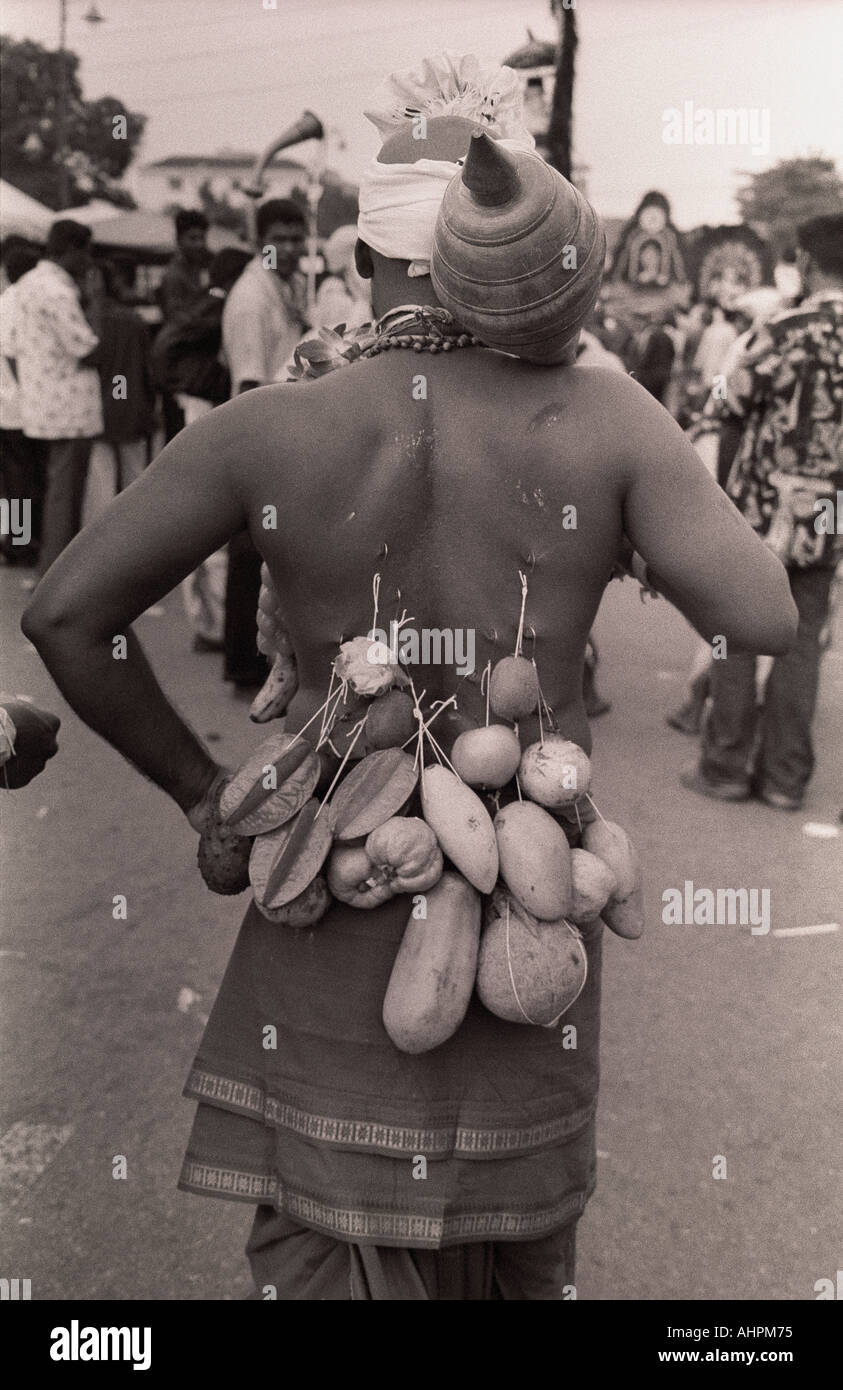 La peau de l'homme percé avec des crochets et des fruits sur son dos au festival hindou de Thaipusam dans les grottes de Batu Kuala Lumpur, en Malaisie Banque D'Images