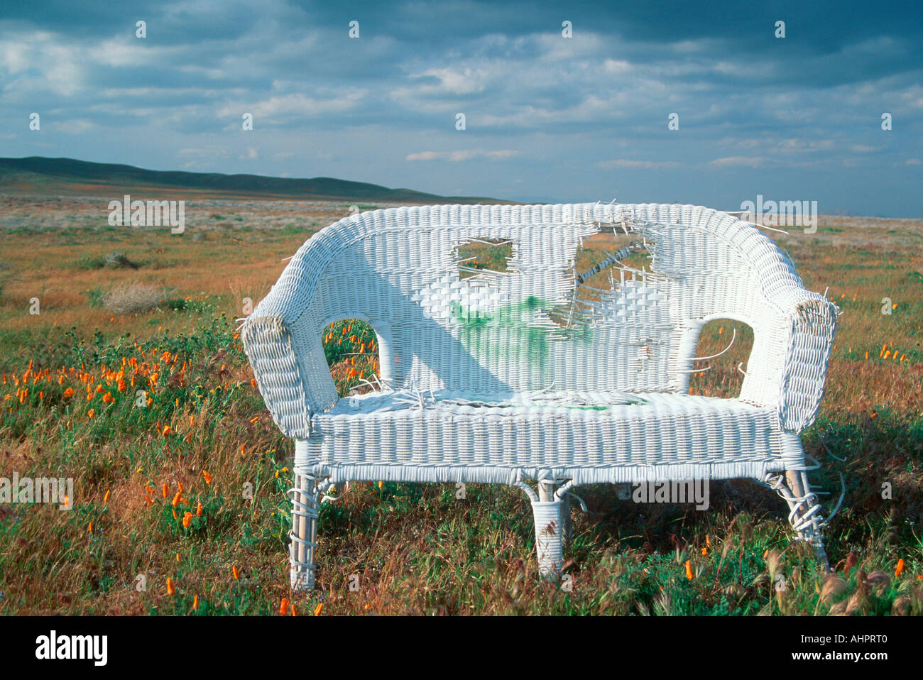 Canapé en rotin abandonnés dans un champ de coquelicots dans Antelope Valley, Californie Banque D'Images