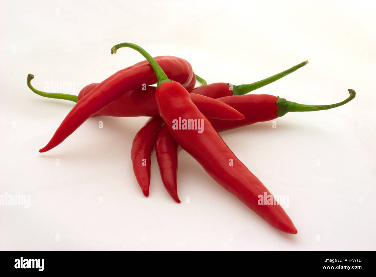 Still Life of red chillies Banque D'Images