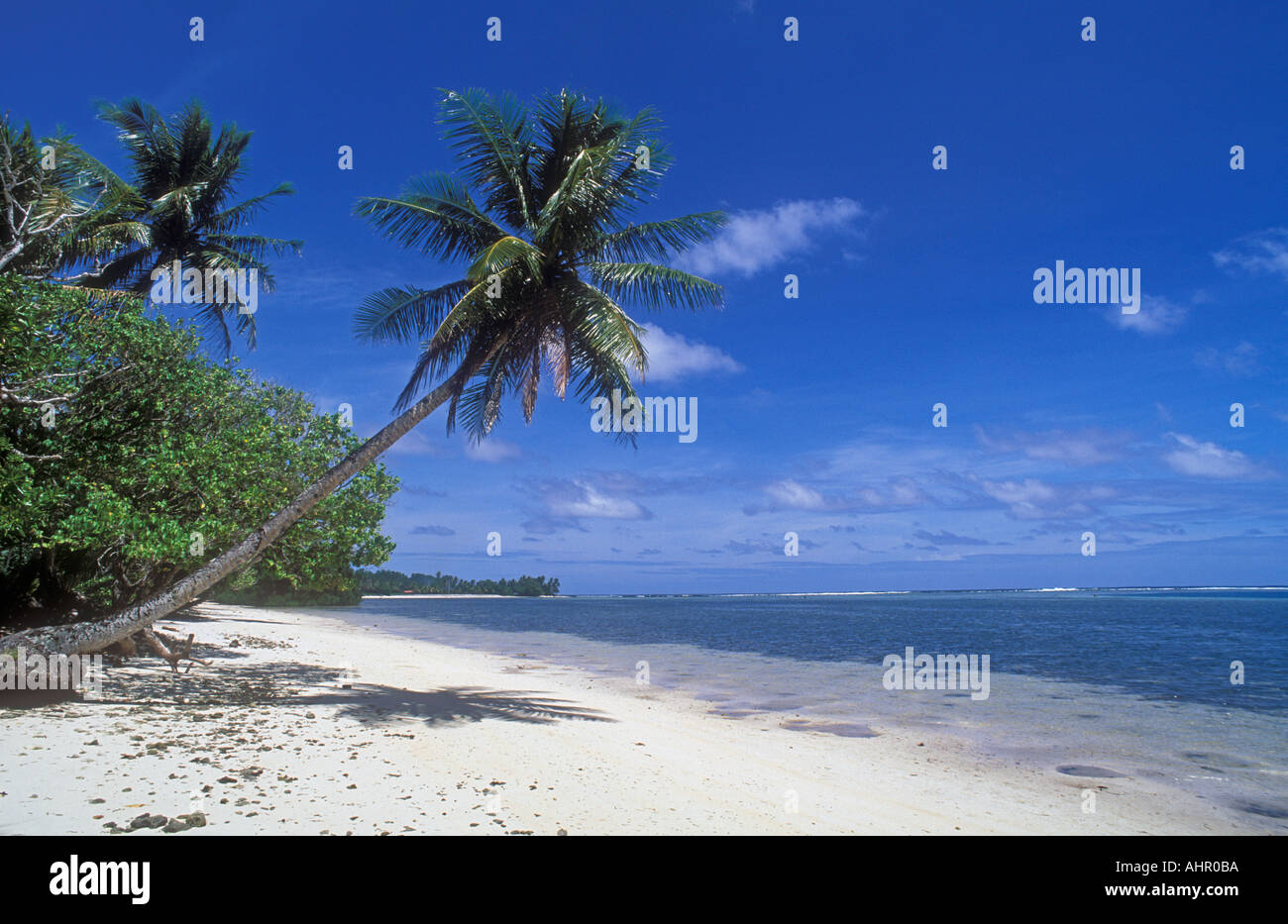 Kosrae Micronésie plage et cocotier tree à Kosrae Nautilus Resort Banque D'Images