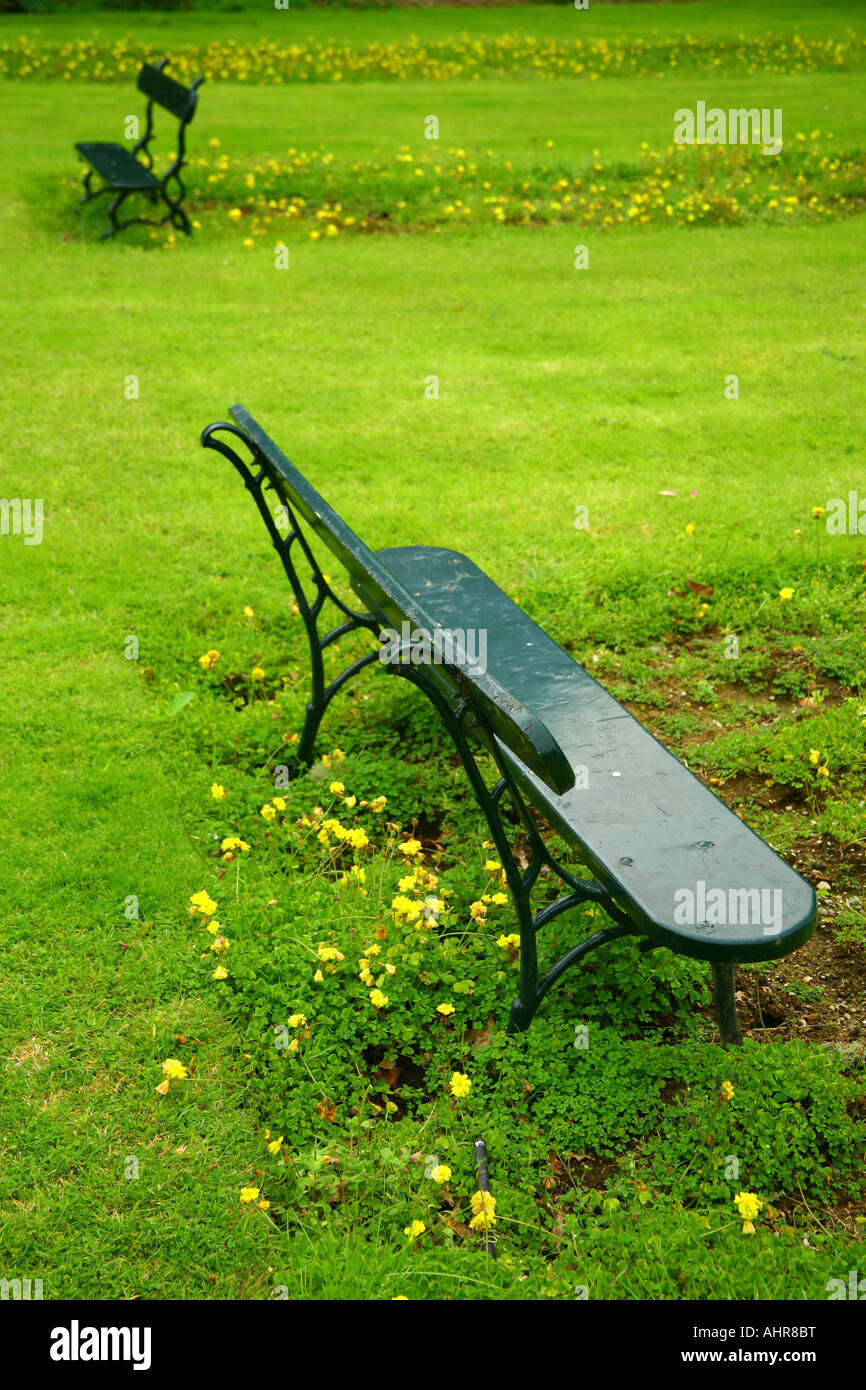 Bancs de jardin Banque D'Images