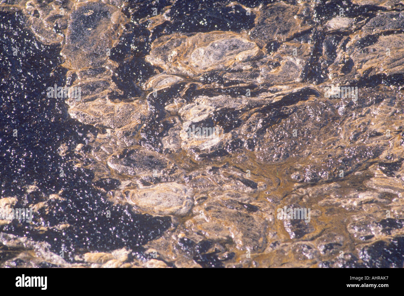 Pétrole brut épais flotte au-dessus de l'eau des océans à Huntington Beach après un déversement de pétrole au large de la côte du comté d'Orange en Californie Banque D'Images