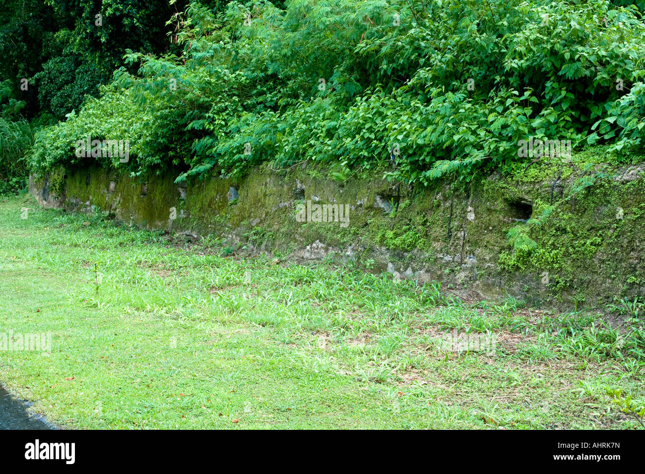 Bunker en béton attaché à mille homme de guerre pendant japonais grotte ruines bunker en béton Peleliu Palau Banque D'Images