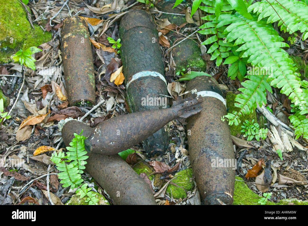 Munitions non explosées des munitions de la DEUXIÈME GUERRE MONDIALE Japonais relique de guerre ruines Peleliu Palau Banque D'Images