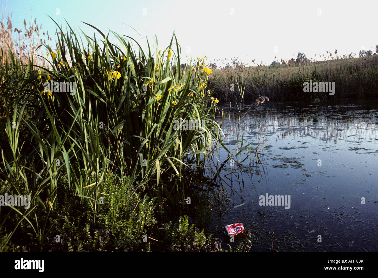 Jetée d'étain en petit lac près de Rome, Italie Banque D'Images