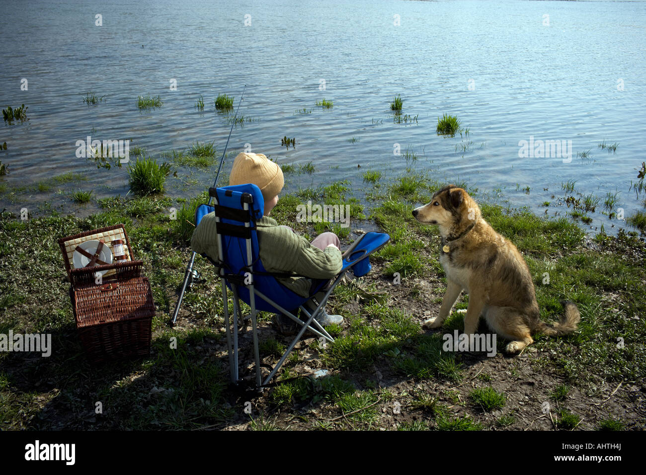 Boy (12-14) la pêche en rivière avec chien de compagnie, vue arrière Banque D'Images