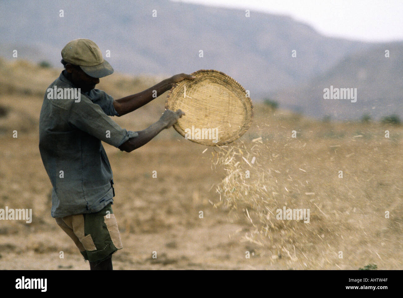 Fermier Winnwing millet de doigt à la main en utilisant un tissage Winnwing plateau Tigray, Ethiopie Banque D'Images