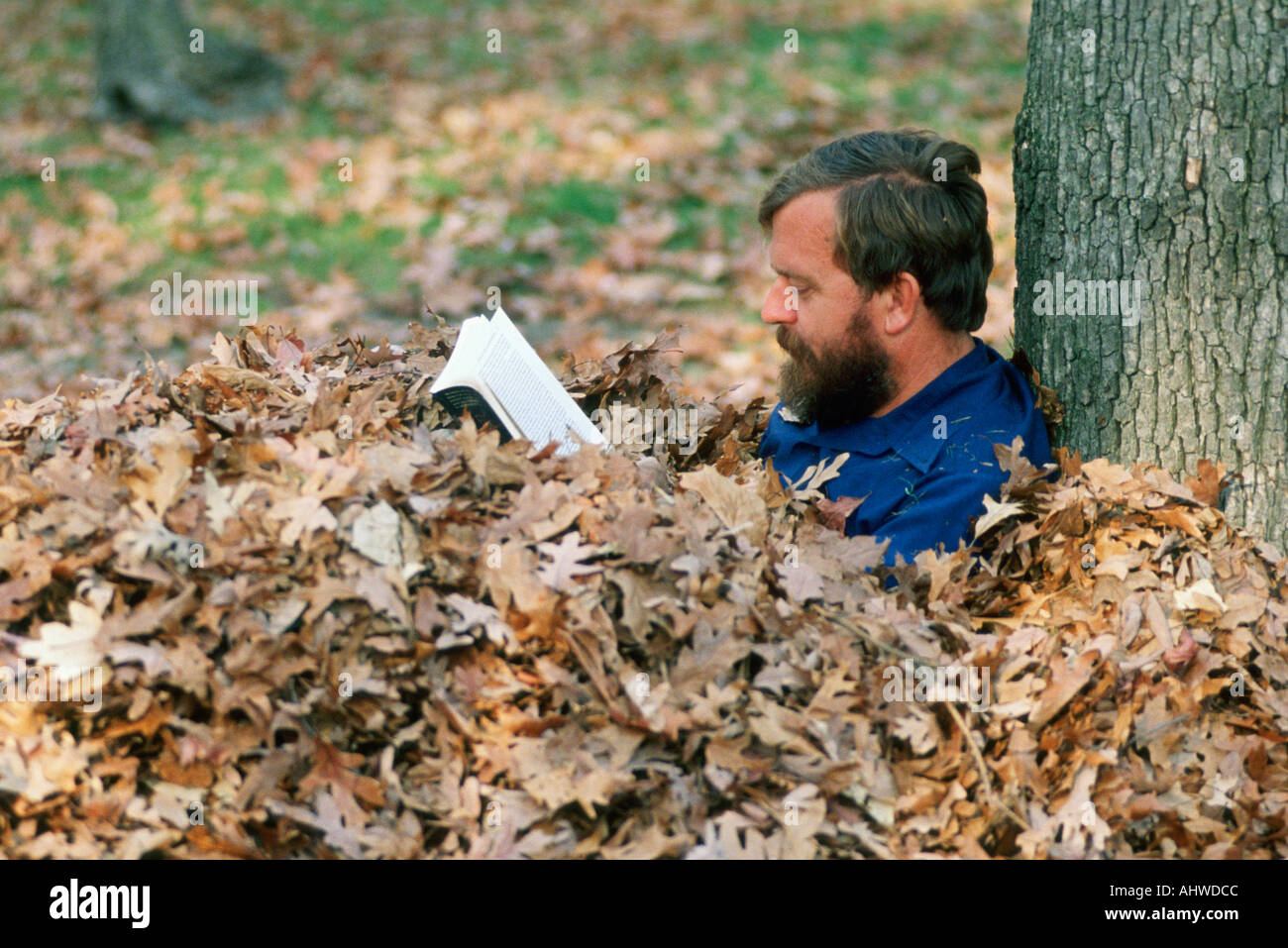 Lit adultes mâles livre dans un tas de feuilles Banque D'Images