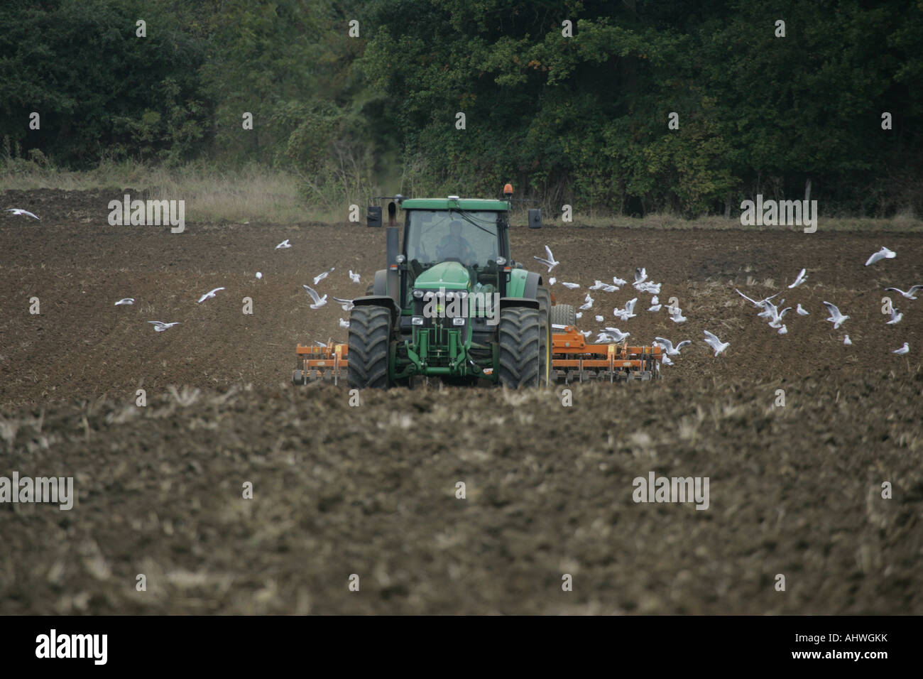 Tracteur John Deere avec des disques Banque D'Images