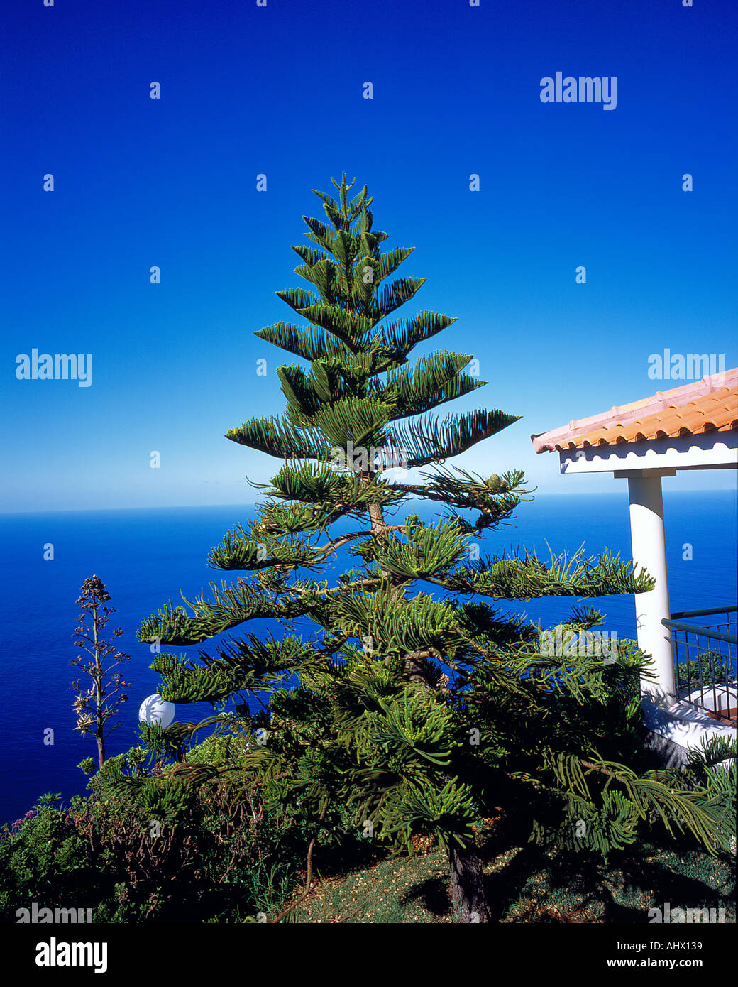Grande chambre au-dessus de l'océan et vue sur l'horizon de l'océan Atlantique à Prazeres Madère Portugal . Photo par Willy Matheisl Banque D'Images