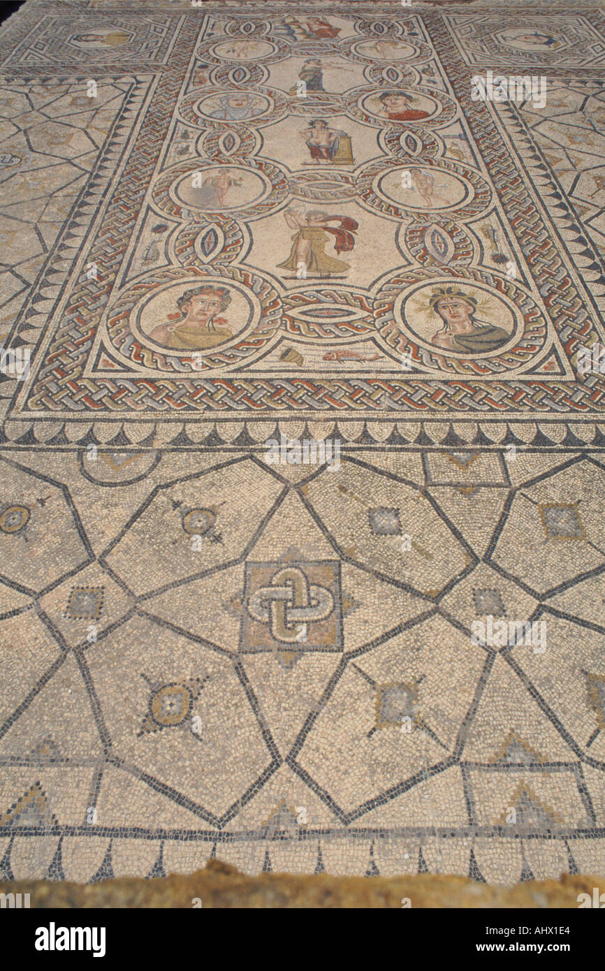 Vestiges romains, Chambre d'Hercule sol de mosaïque, Volubilis, près de Meknes, Maroc Moyen Atlas, l'Afrique Banque D'Images