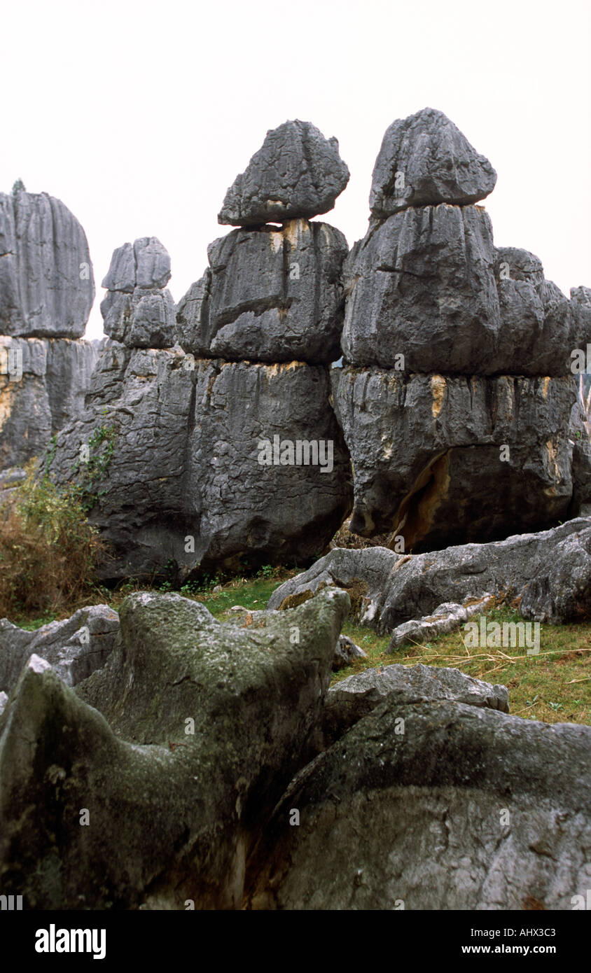 Chine Yunnan Shilin Stone Forest rock formation phallique Banque D'Images