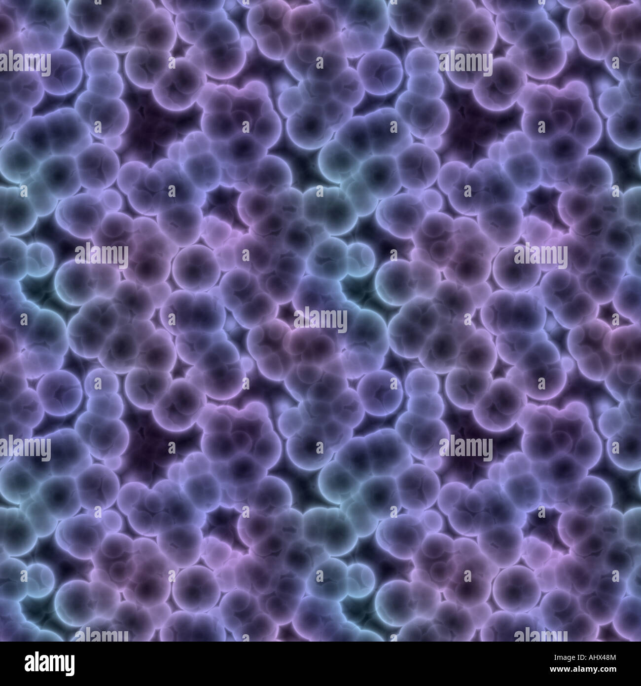 Une grande image reconstruite de bactéries ou de cellules sous un microscope Banque D'Images