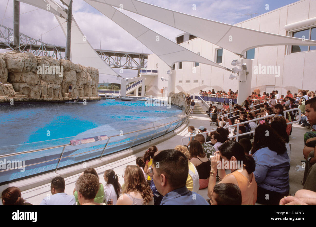 Corpus Christi Texas USA Texas State Aquarium Dolphin Bay performance joints de la scène d'exposition Banque D'Images