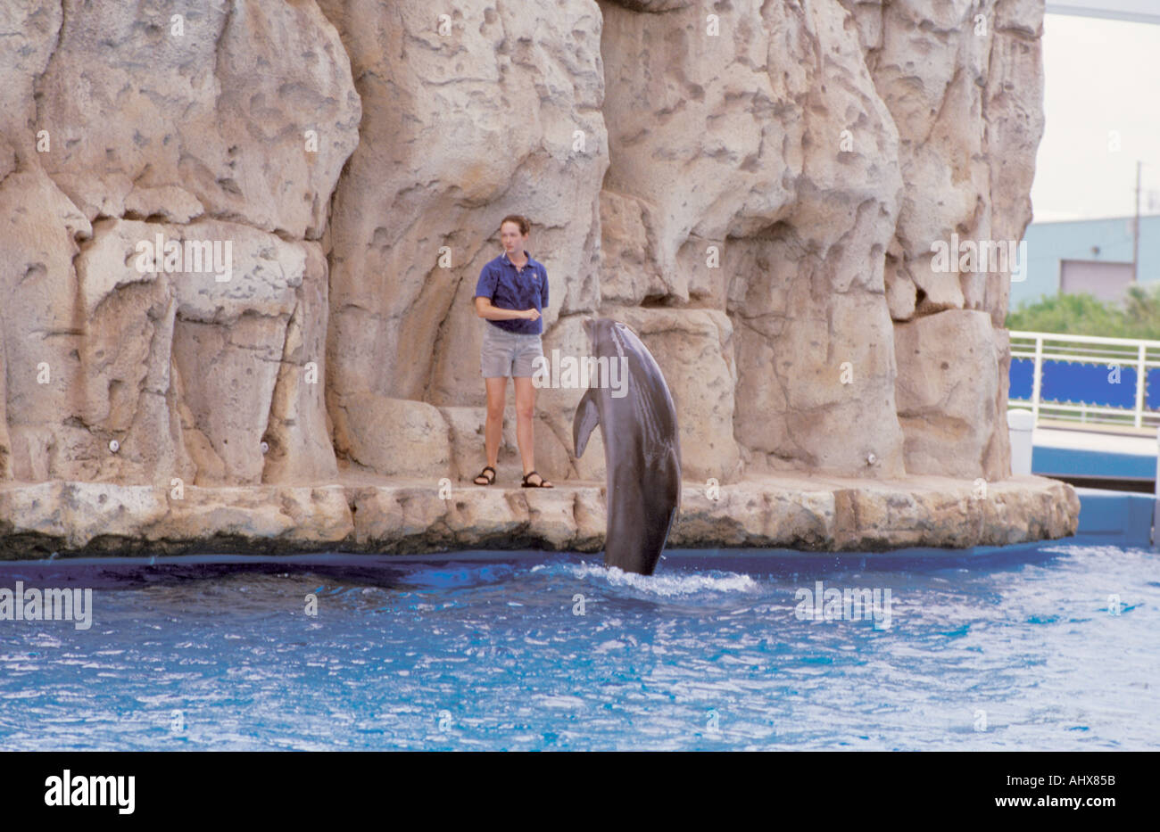 Corpus Christi Texas USA Texas State Aquarium Dolphin Bay performance joints de la scène d'exposition Banque D'Images