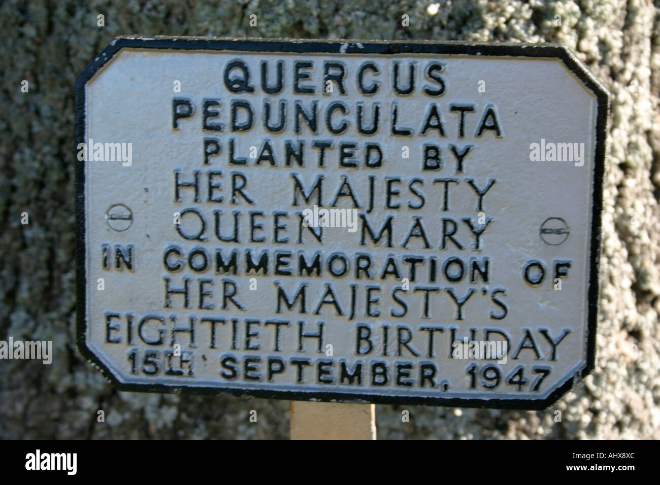 La plantation d'plaque commémorative Sandringham Estate résidence QUEENS comté de Norfolk East Anglia angleterre uk go Banque D'Images