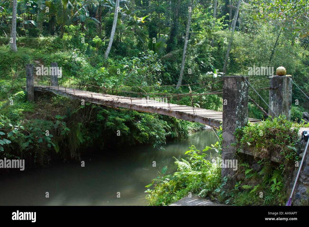 Pont de corde dans la gorge de la rivière Ayung Ubud Bali Indonésie Banque D'Images
