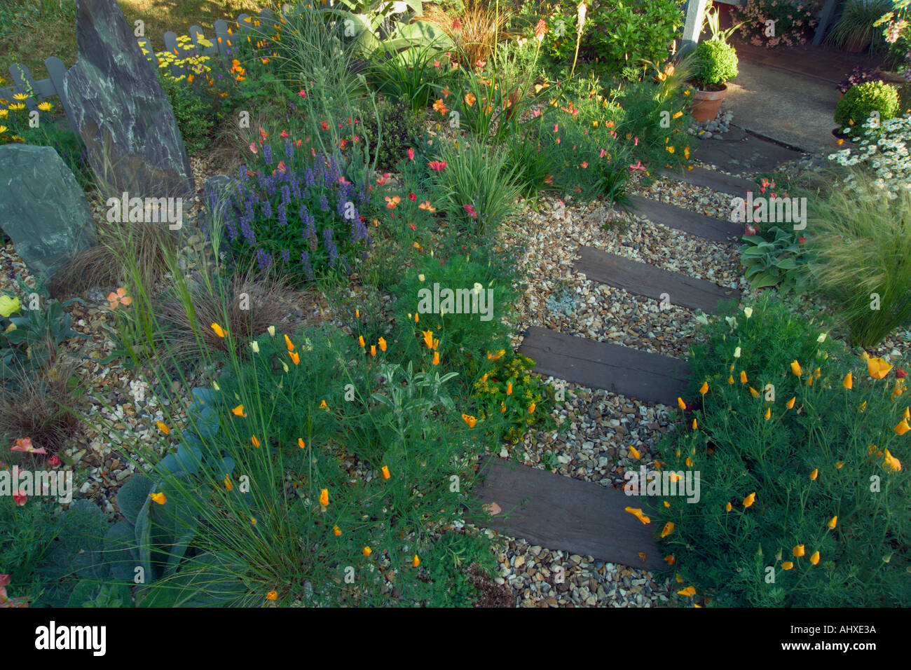 Ancienne Tarnwell Somerset UK des Mary Payne/jardin petit jardin avec gravier sec couleur mi-été Banque D'Images
