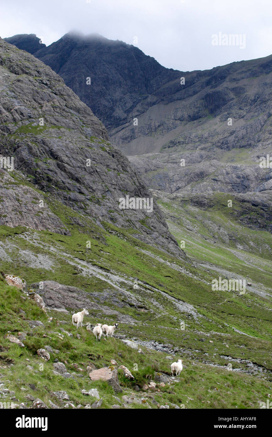 Coire 6309 Creiche Sgurr na et une Fheadain l'île de Skye Ecosse Cuillins Banque D'Images