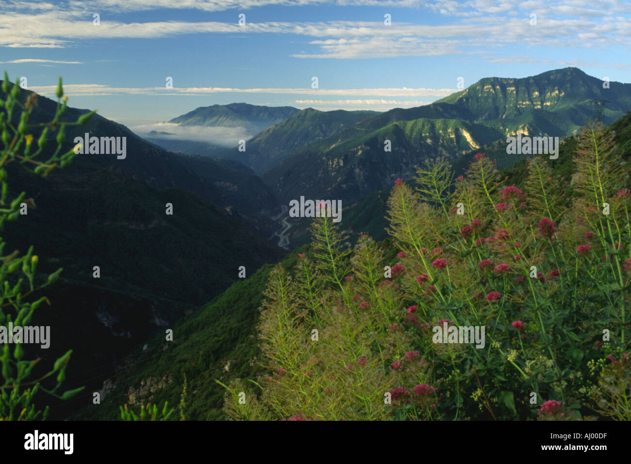Vue sur la vallée de la Tinee dans le Parc National du Mercantour, Alpes Maritimes, France Banque D'Images
