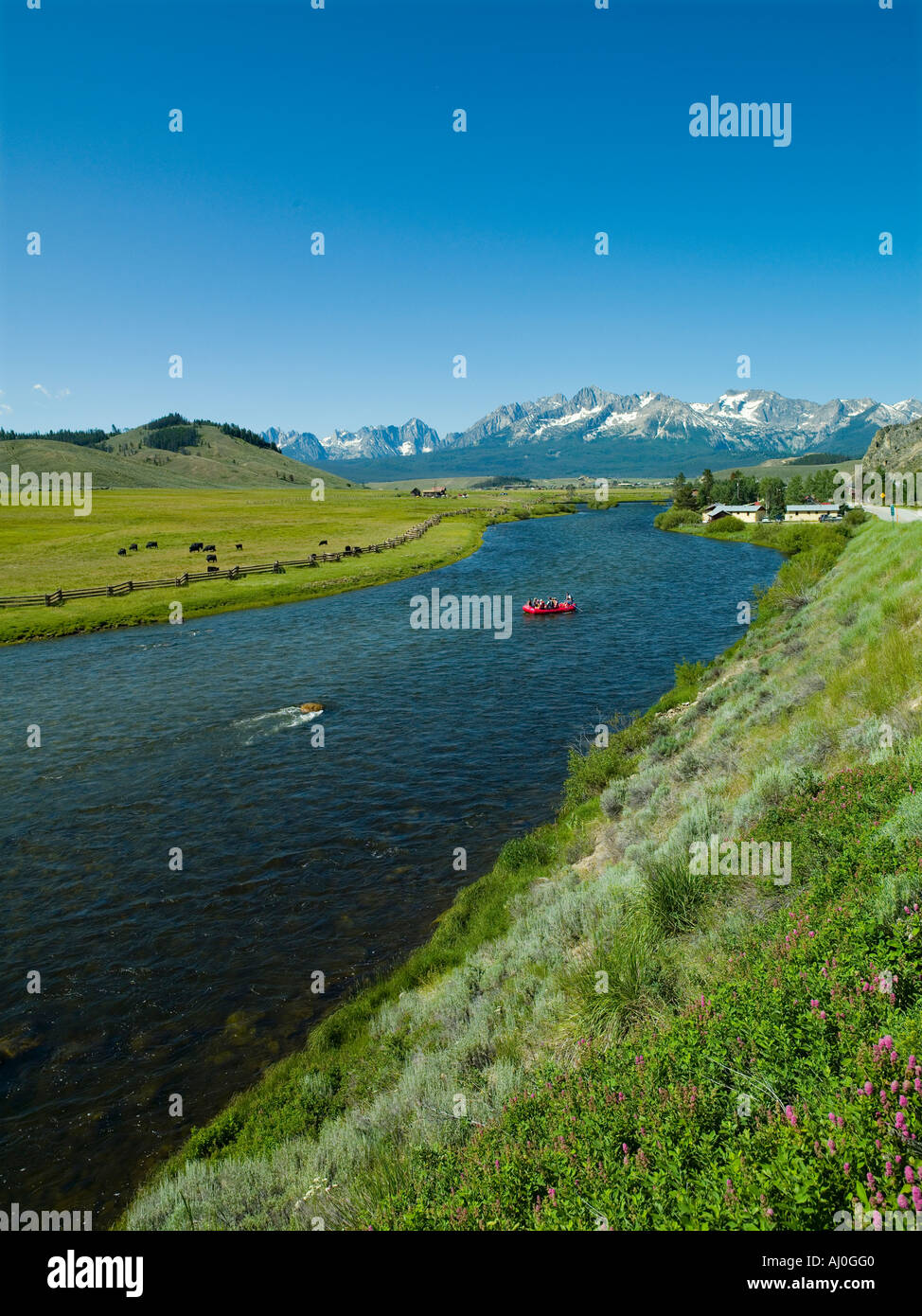 Les rafteurs flotter dans la rivière Salmon par Stanley inférieur avec les montagnes en arrière-plan de scie Banque D'Images