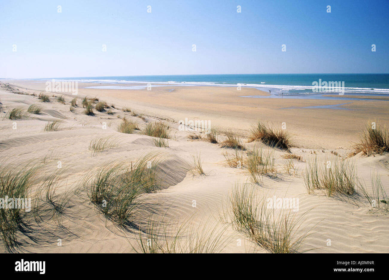 France Charente Maritime Ile Doléron La Grande Plage De