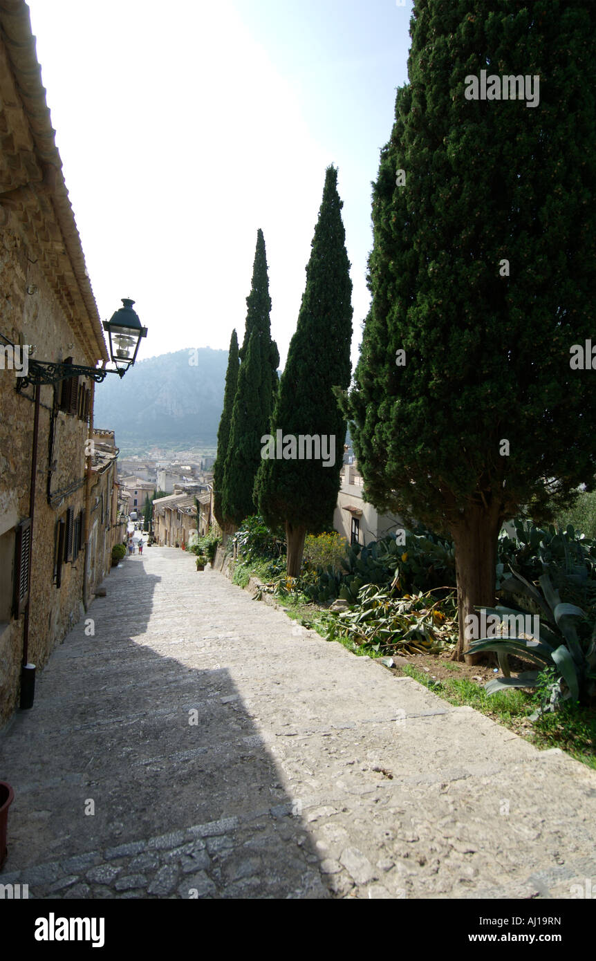 Via Crucis, Pollenca, Majorque Banque D'Images