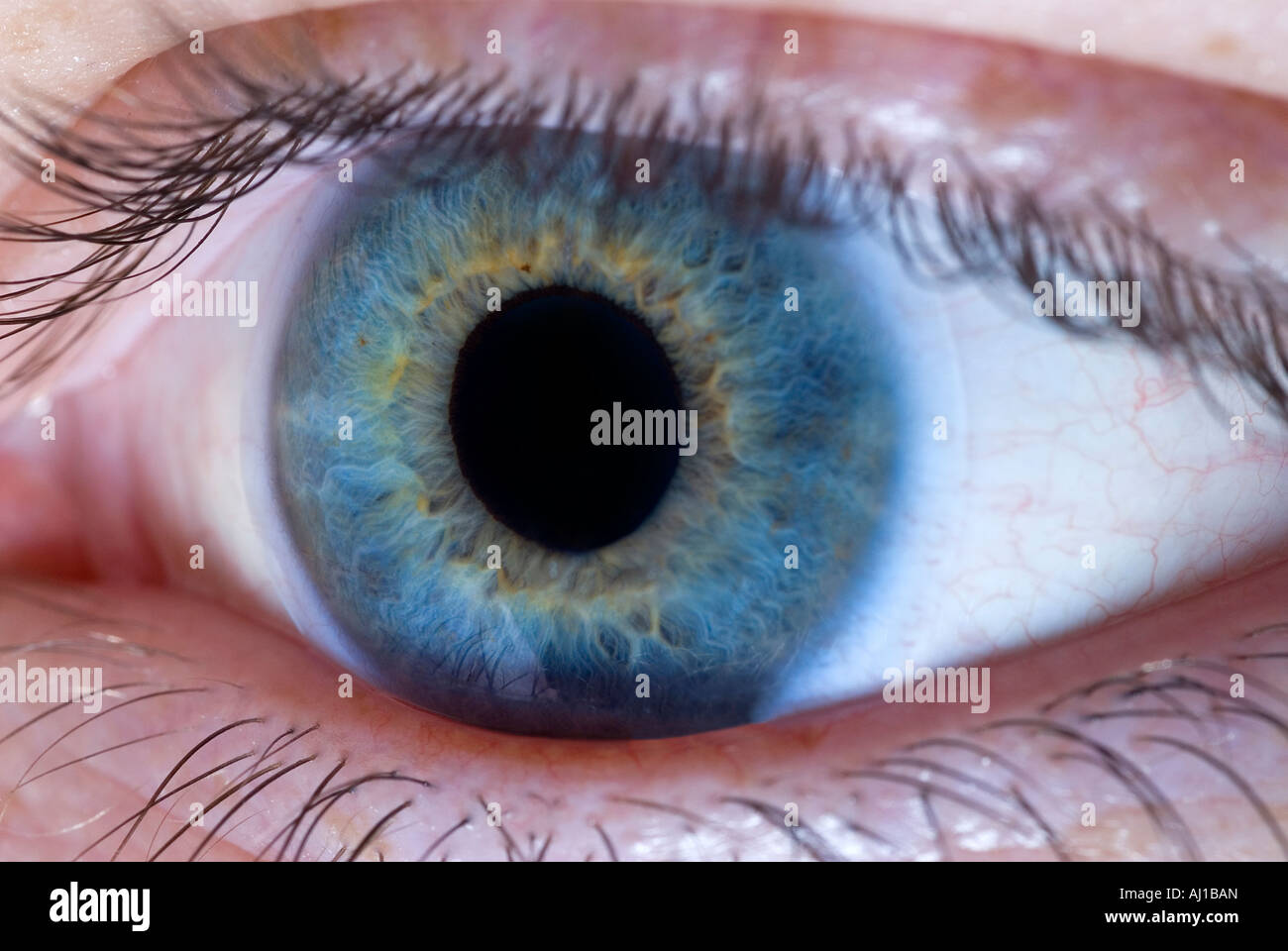 Close up of eye portant une lentille de contact Banque D'Images