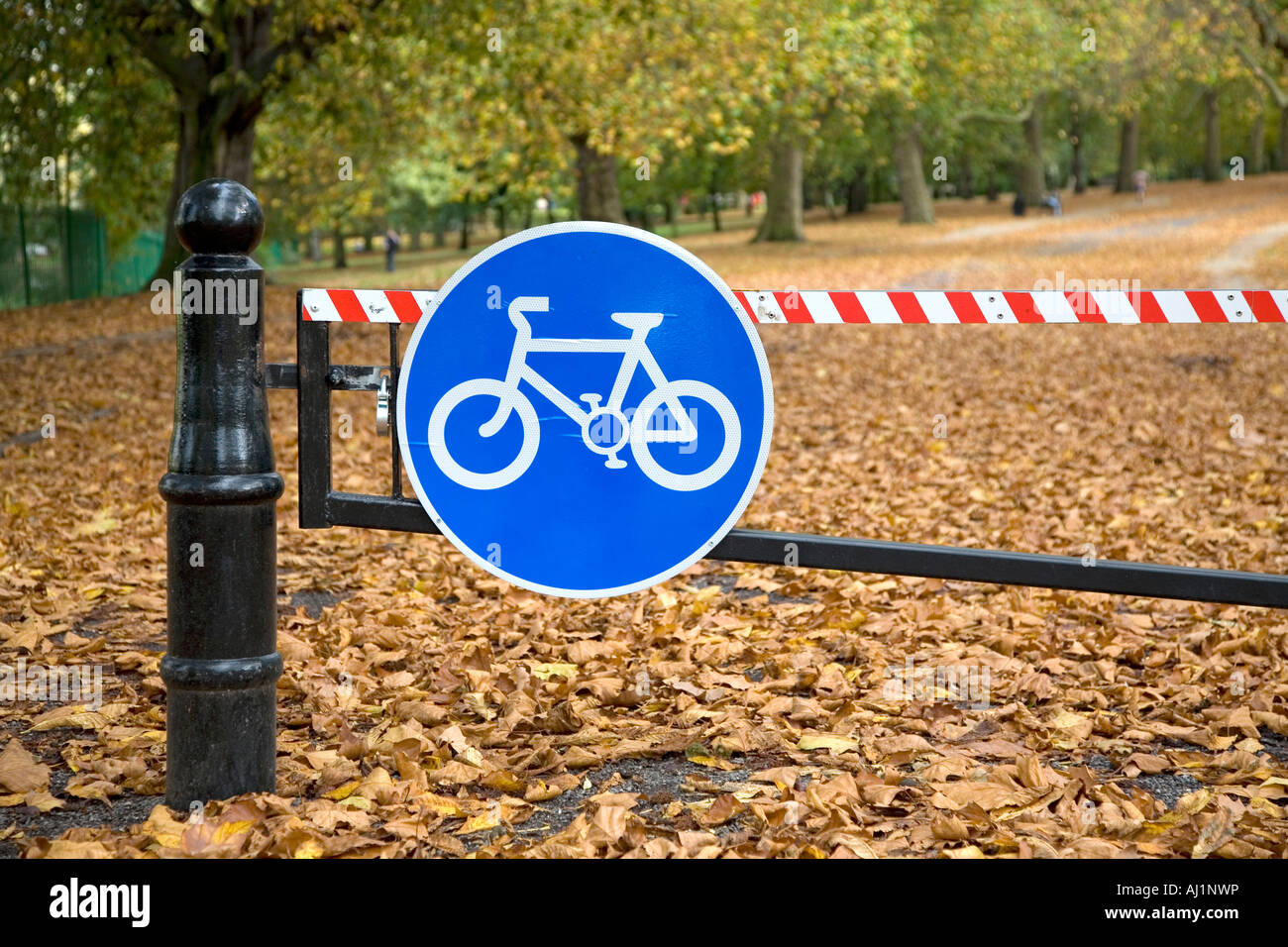 Cycle path dans un parc de Londres. Un panneau bleu indiquant que le vélo est autorisé dans ce domaine. Banque D'Images