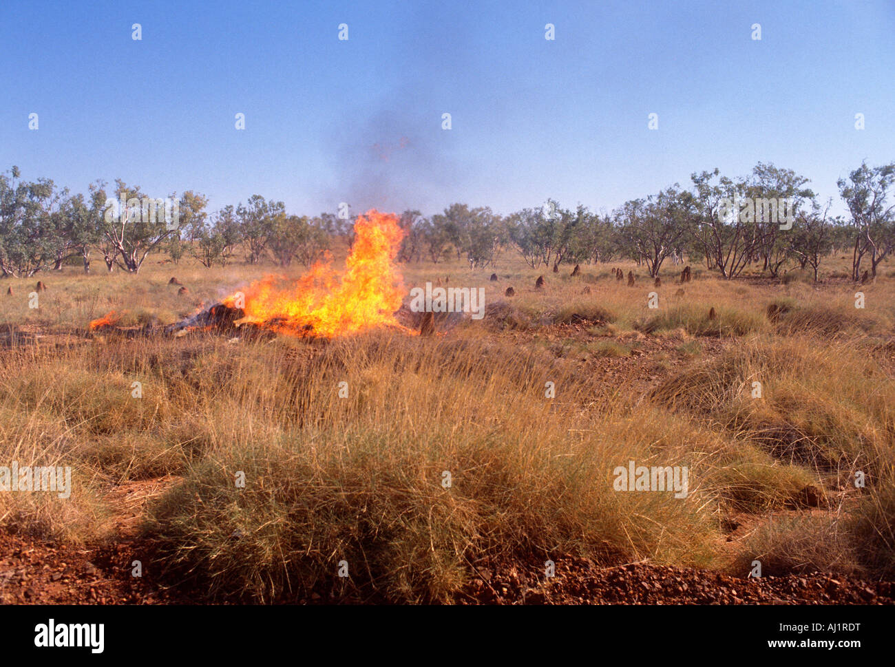 Feu de broussailles spontanée dans l'outback, Territoire du Nord, Australie Banque D'Images