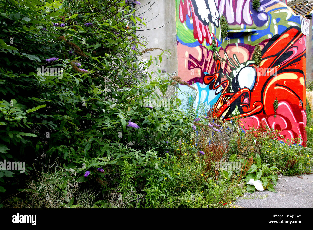 Le Graffiti vaporisé sur les murs d'une zone envahie abandonnés Banque D'Images