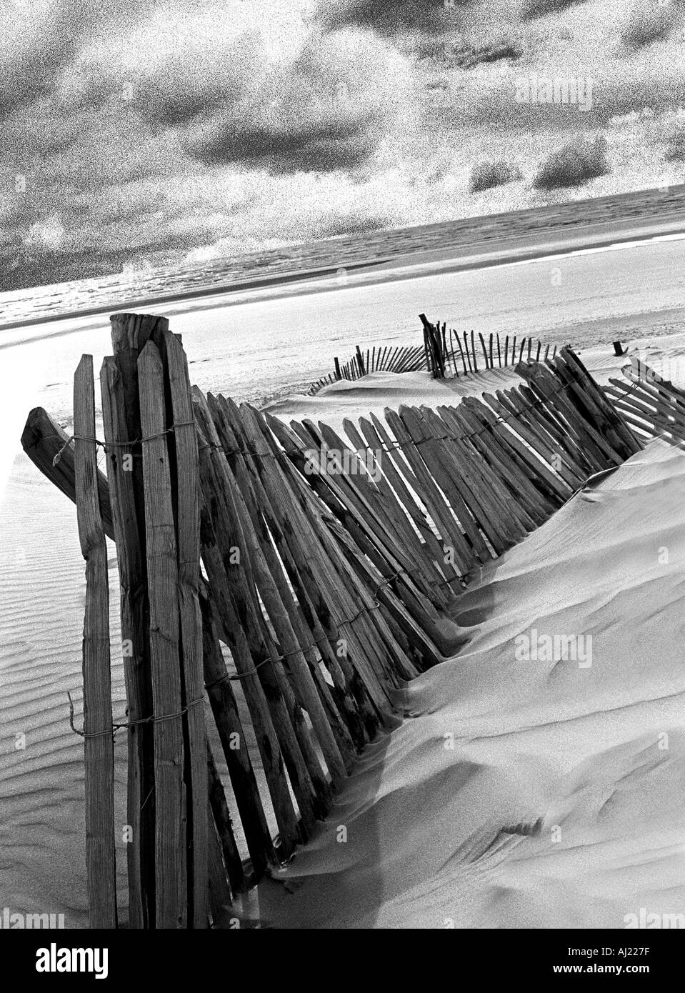 BEACHSCAPE NOIR ET BLANC Banque D'Images
