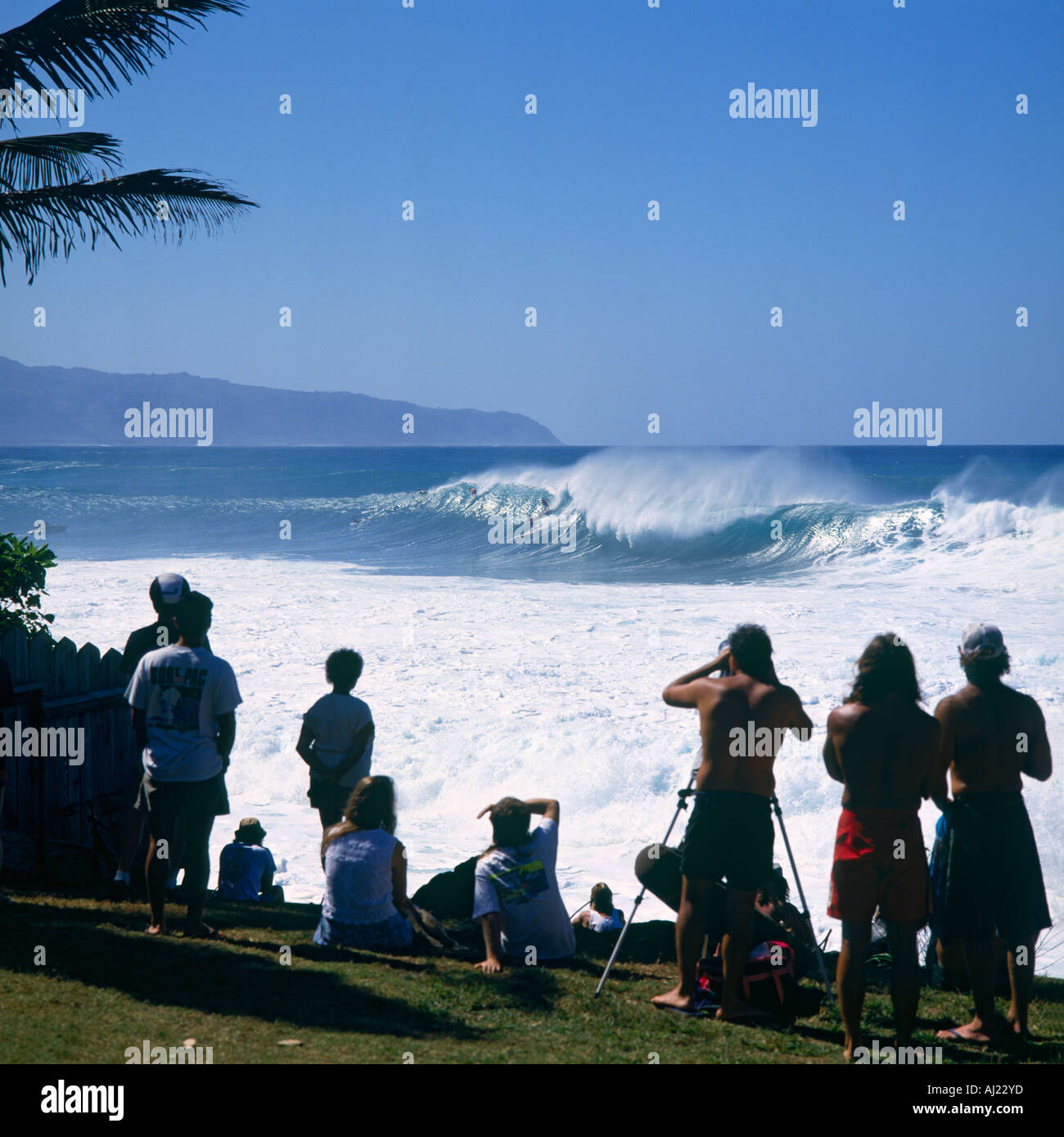 Groupe de spectateurs à regarder les surfeurs sur l'immense vague déferlante à Waimea Bay Côte-Nord de l'Île Oahu Hawaii Banque D'Images