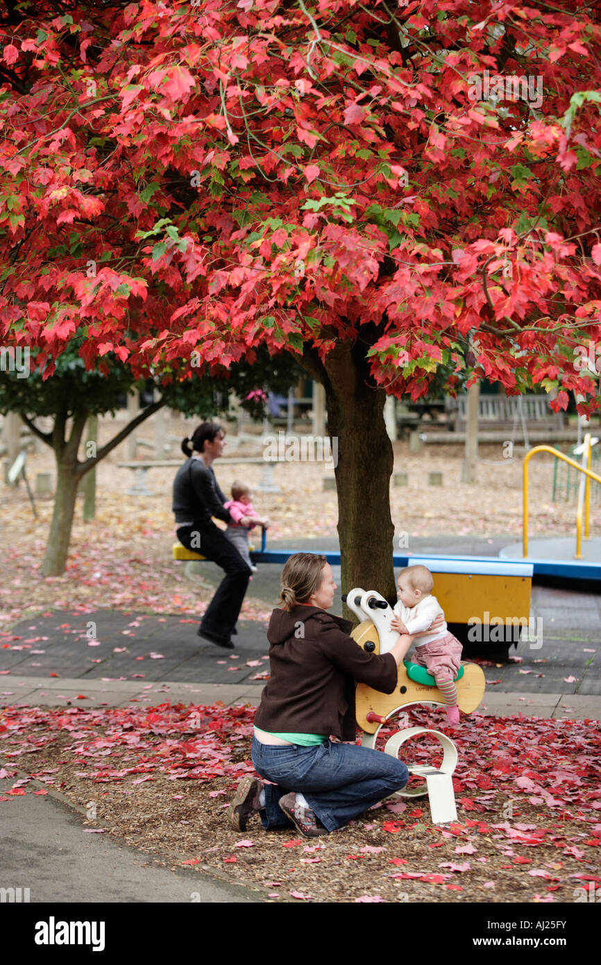 Les parents et enfants jouant sous un arbre d'automne dans une aire de jeux du jardin botanique de Birmingham, UK Banque D'Images