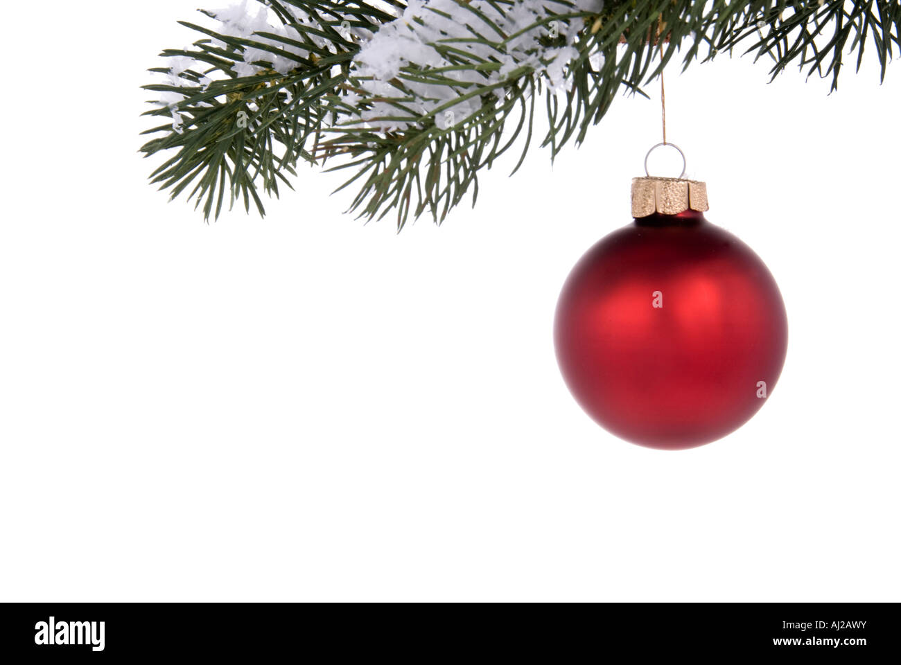Ornement d'arbre de Noël rouge suspendu à une branche d'arbre de pin sur fond blanc Banque D'Images