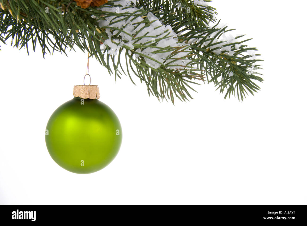 Green Christmas Tree ornament se bloque à partir d'une branche d'arbre de pin sur fond blanc Banque D'Images