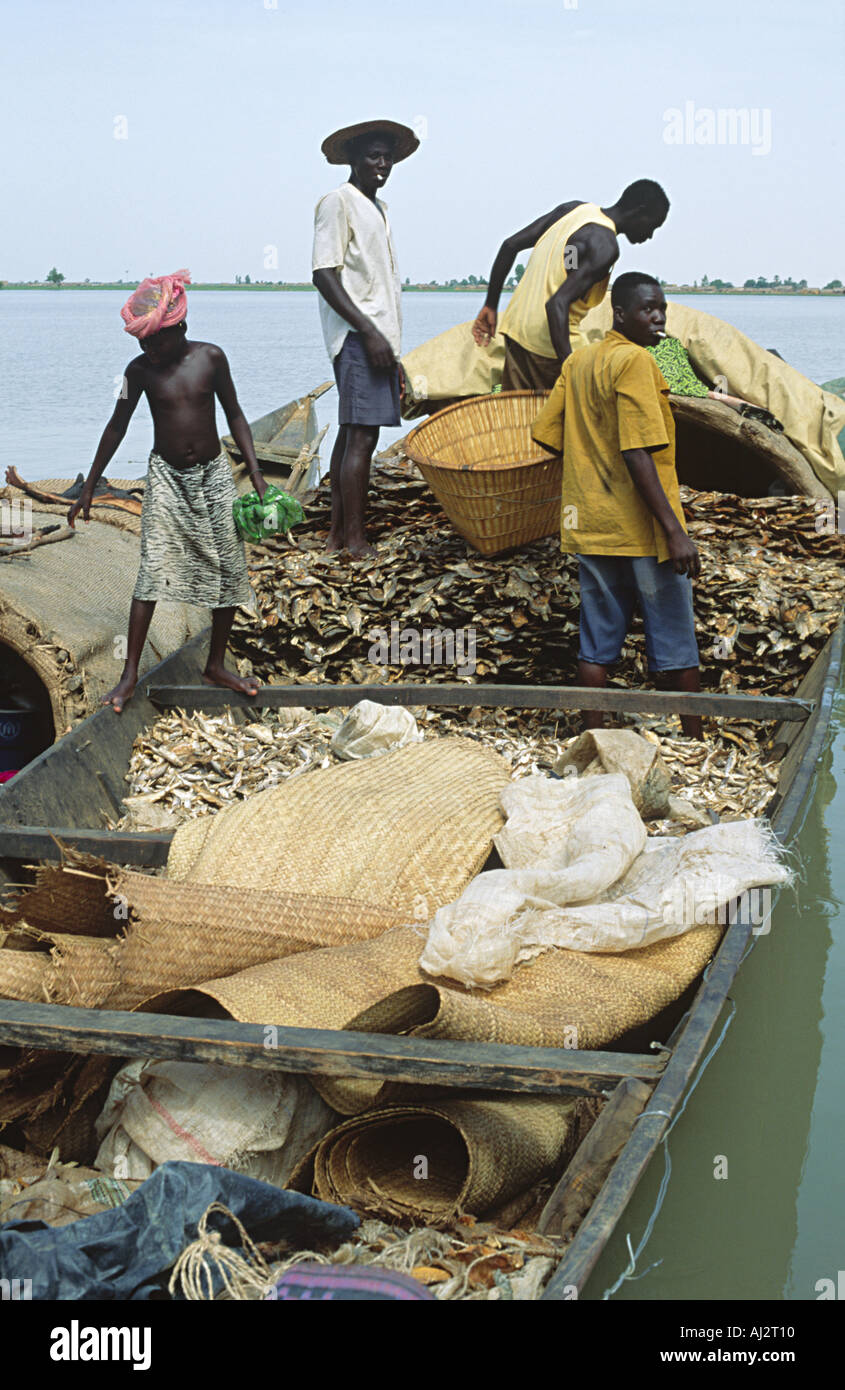 Pêcheurs et travailleurs déchargeant du poisson séché sur les rives du Niger avant son transport vers le marché de Mopti. Mali, Afrique de l'Ouest Banque D'Images