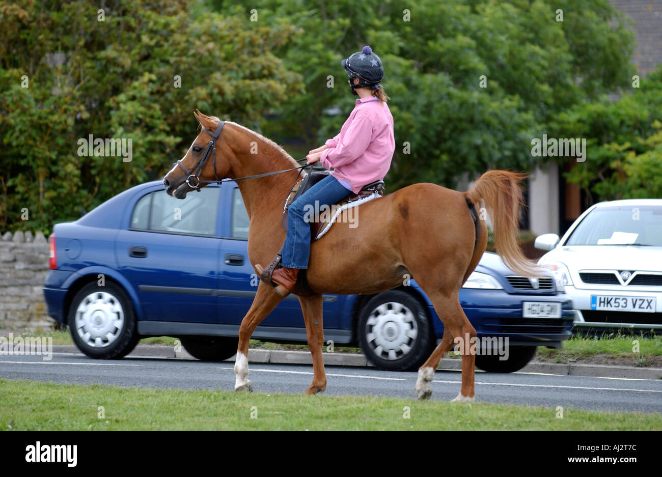 Le cheval et le cavalier sur une route très fréquentée Banque D'Images Le cheval et le cavalier sur une route très fréquentée Banque D'Images