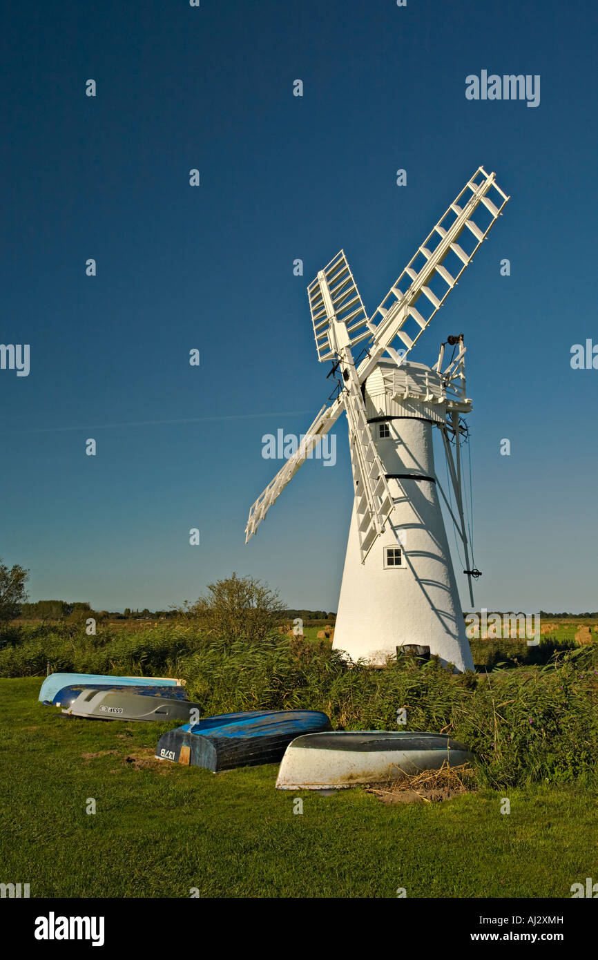 Thurne mill dans les Norfolk Broads UK Banque D'Images