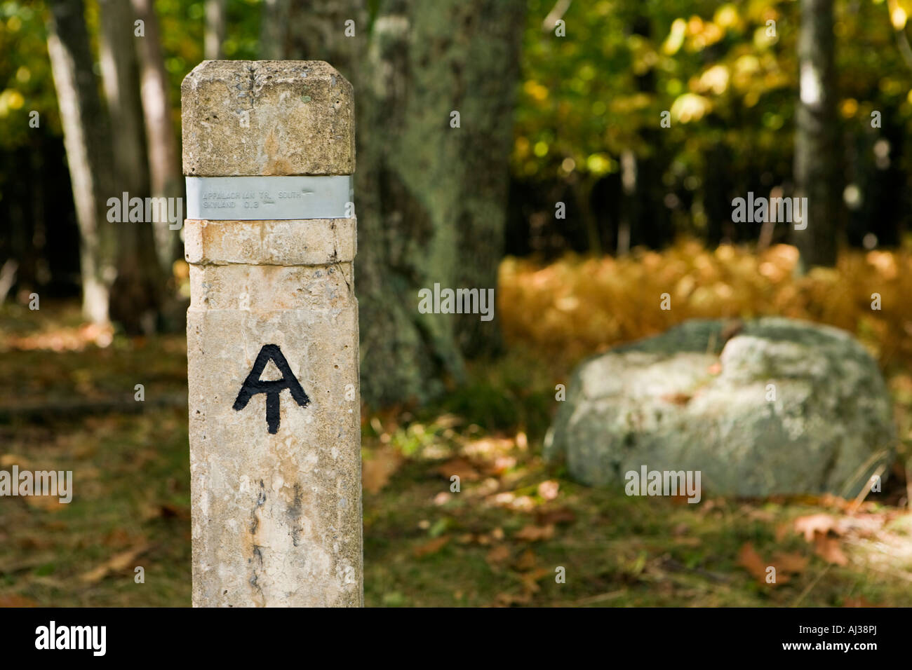 Appalachian Trail sentier près de Skyland Resort Le Parc National Shenandoah en Virginie Banque D'Images