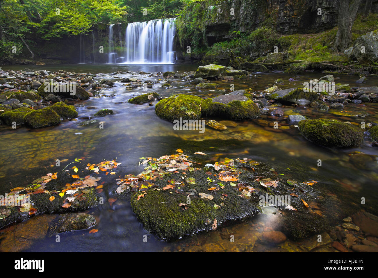 La chute d'Ddwli en été, Nedd Fechan River, Brecon Beacons, Pays de Galles Banque D'Images