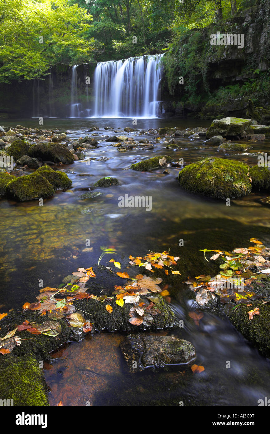 La chute d'Ddwli en été, Nedd Fechan River, Brecon Beacons, Pays de Galles Banque D'Images