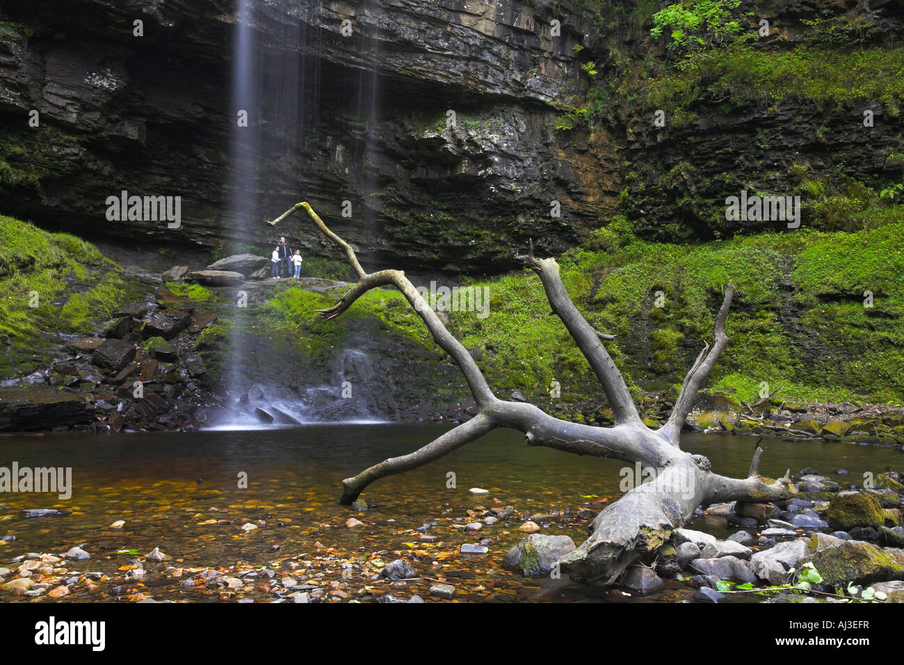 Plus haute cascade dans le sud du Pays de Galles, Henrhyd Falls, Brecon Beacons Banque D'Images